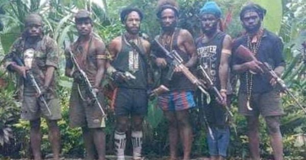 KKB Teror Warga di Kabupaten Nduga Papua, 10 orang meninggal dunia dan 2 Luka-Luka