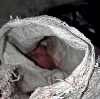 Polisi Mulai Buru Pelaku Pembuang Bayi Dalam Karung di Bulukumba, Sejumlah Orang Diperiksa