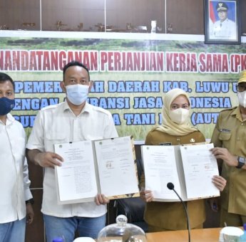Bersama Jasindo, Tahun Ini Pemda Lutra Beri Perlindungan 11.000 Hektar Lahan Pertanian Warga