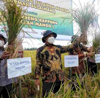 Ekonomi Sulsel Tumbuh, Andi Sudirman: Alhamdulillah, Sektor Pertanian Berperan Besar
