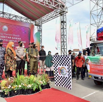 Mandiri Benih, Strategi Gubernur Sulsel Dongkrak Sektor Pertanian