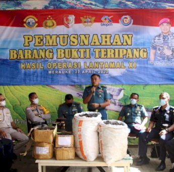 Lantamal XI Merauke Musnahkan Ratusan Kilogram Teripang Seludupan dari Papua Nugini