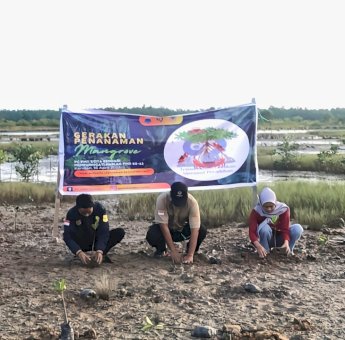 Peringati Harlah PMII ke-62, PC PMII Kota Kendari Tanam 200 Bibit Pohon Mangrove