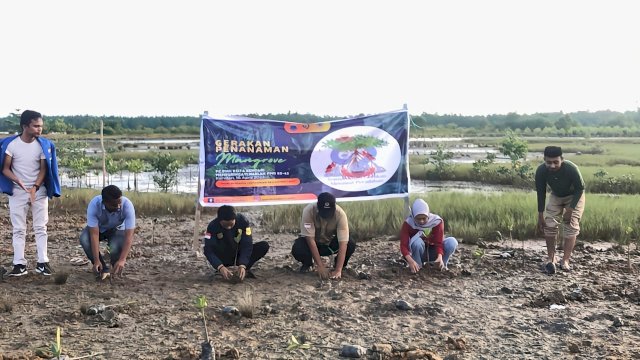 PC PMII Kota Kendari bekerjasama dengan BPDHL melakukan penanaman bibit mangrove di Kecamatan Kendari Barat, Kota Kendari, Sabtu (16/04/2022).