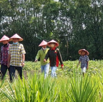 Bupati Soppeng Andi Kaswadi Studi Tiru Pengembangan Tanaman Bawang Merah di Nganjuk