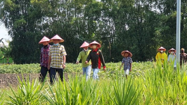 Bupati Soppeng Andi Kaswadi Razak (baju kotak-kotak) saat mengunjungi Kawasan perkebunan bawang merah di Desa Pandean, Kabupaten Nganjuk, Jawa Timur, Sabtu (16/04/2022). (Istimewa)