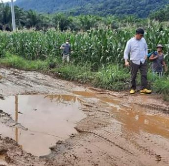 Berlumpur, Ketua DPRD Luwu Timur Tinjau Jalan Penghubung Desa Matano, Kawata dan Parumpanai