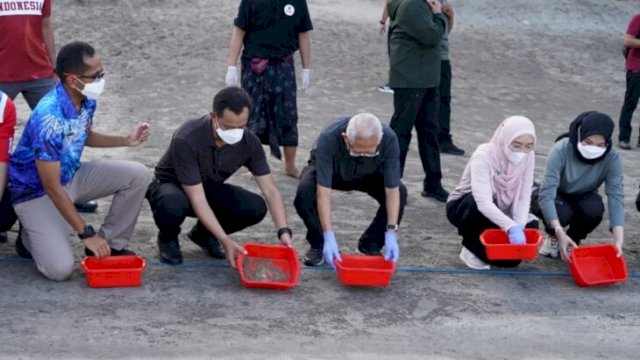 Wakil Presiden Ma'ruf Amin beserta Ibu Wury Ma’ruf Amin, melepas Tukik ke alam bebas di Pantai Kuta, Selasa (10/05/2022). (Istimewa)