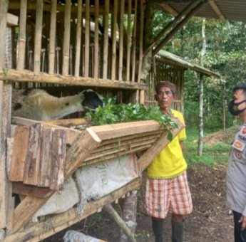 Cegah Sebaran PMK Hewan Ternak, Polisi di Pandeglang Sambangi Desa