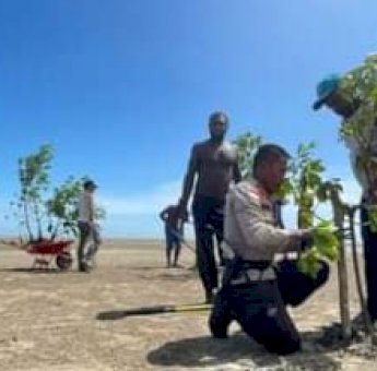 Cegah Abrasi, Kapolres Sangaji Gandeng Warga Merauke Tanam Pohon Mangrove di Pantai Yobar