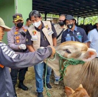 Antisipasi Wabah PMK, Polisi dan Dinas Peternakan Pantau Kondisi Ternak di Pasar Hewan Wonosobo