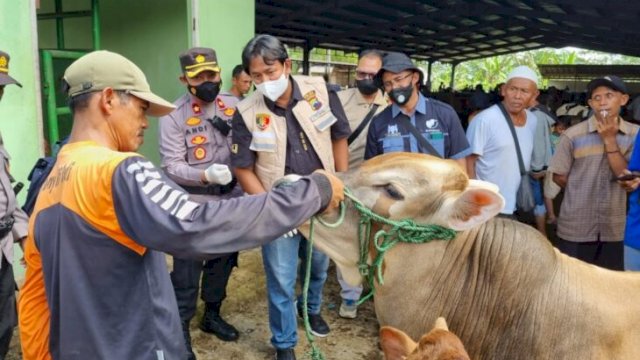 Wakapolres Wonosobo, Kompol Andi Setiyo Wibowo bersama Dinas Peternakan memantau ternak antisipasi wabah PMK di Pasar Wonolelo, Wonosobo, Jawa Tengah, Minggu (15/05/2022). (Ist)