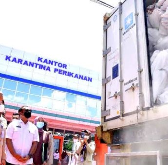 Meningkat 45,60%, Ekspor Sulsel Triwulan Pertama Tahun 2022 Capai Rp 6,97 Triliun