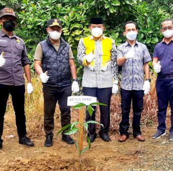 Usai Tanam Pohon Dengan Bupati, Ketua DPRD Luwu Timur Imbau Masyarakat Lestarikan Hutan
