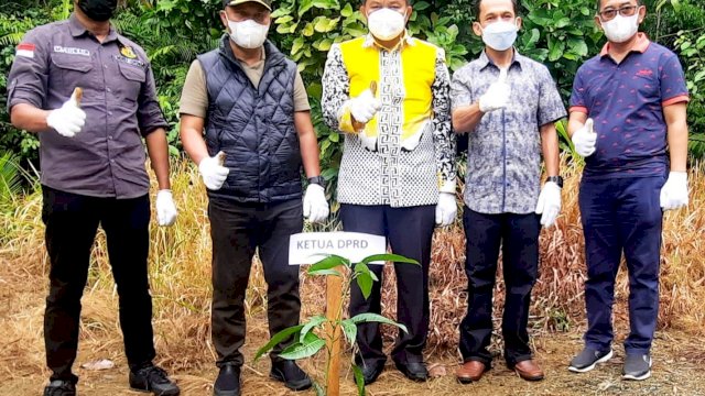 Ketua DPRD Luwu Timur, Aripin menanam pohon usai mendampingi Bupati Budiman dalam peresmian rumah jabatan ketua Pengadilan Negeri Malili dan rumah mess Kejaksaan Negeri Malili yang dilakukan di Baruga Land Mark Luwu Timur, Minggu (13/2/2022).