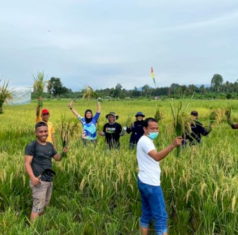 Panen Perdana SRI Organik di Morowali,&nbsp;PT Vale Merawat Keberlanjutan untuk Masa Depan