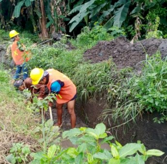 Tingkatkan Produktivitas Pertanian, Upaya Gubernur Andi Sudirman Gencarkan Infrastruktur Pertanian