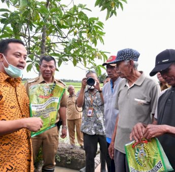 Program Prioritas Gubernur Andalan, Pemprov Sulsel Telah Salurkan 144 Ton Benih Padi di Bulukumba