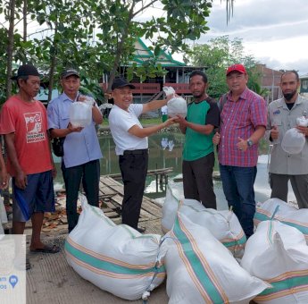 DKP Sulsel Salurkan Bantuan Benur Udang di Maros, Prioritas Gubernur Andi Sudirman Kembalikan Kejayaan Udang Sitto