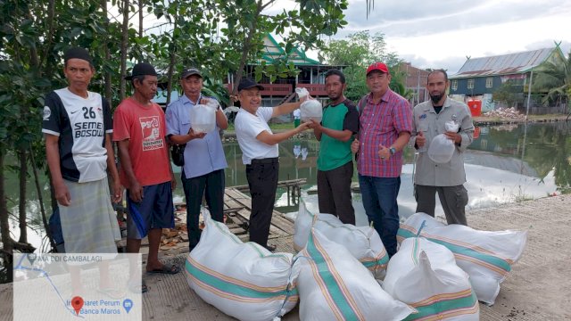 Dinas Kelautan dan Perikanan Sulsel menyalurkan bantuan bibit udang windu atau biasa disebut udang sitto. (Istimewa)