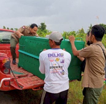 BKSDA Pindahkan Perangkap karena Hampir 2 Bulan Beruang Tidak Tertangkap