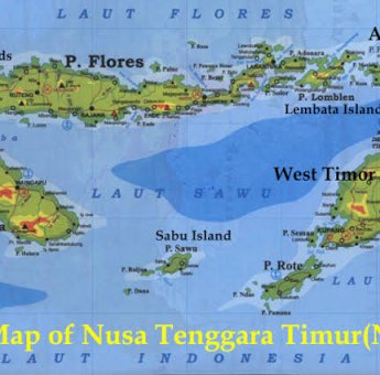 Tetap Solid! Tim P4KF Serahkan Dokumen Pembentukan Provinsi Kepulauan Flores Ke Petinggi Partai di NTT