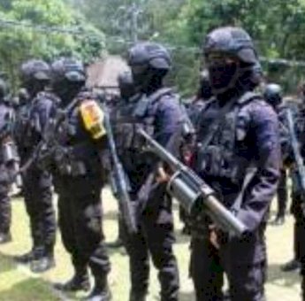 Jelang Pengesahan UU Tiga Provinsi Baru di Papua, Mabes Polri Terjunkan 5 Kompi Brimob Nusantara