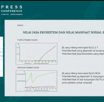 Dinilai Terancam Punah, Pembatasan Pengunjung di Kawasan Komodo Akan Diberlakukan