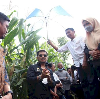 Pengembangan Demplot Jagung di Gowa Difokuskan di Desa Karebasse