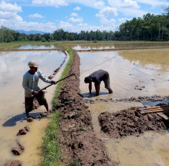 PLN UIP Sulawesi Dorong Peningkatan Pertanian Lewat Bantuan ke Petani