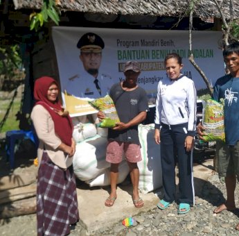 1000 Hektar Lahan di Luwu Dapat Bantuan Benih Andalan &lsquo;Mandiri Benih&rsquo;