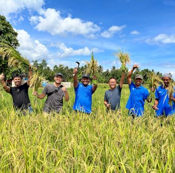 Didukung PT Vale, Milenial Kolaka Melek Pertanian Organik