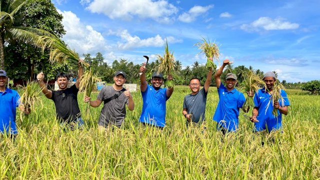 Panen perdana padi SRI Organik hasil pembinaan program Pertanian Sehat Ramah Lingkungan Berkelanjutan  PT Vale, di Desa Lamedai, Kabupaten Kolaka, Senin (26/06/2022). (Istimewa)