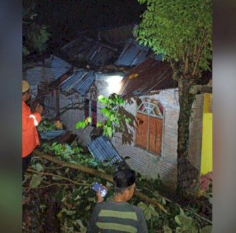 Tertimpa Pohon Besar, Atap Rumah Warga di Sinjai Hancur