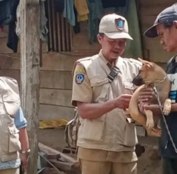 Cegah Rabies, Dinas Pertanian Gelar Vaksinasi Rabies di 22 Desa di Luwu Timur