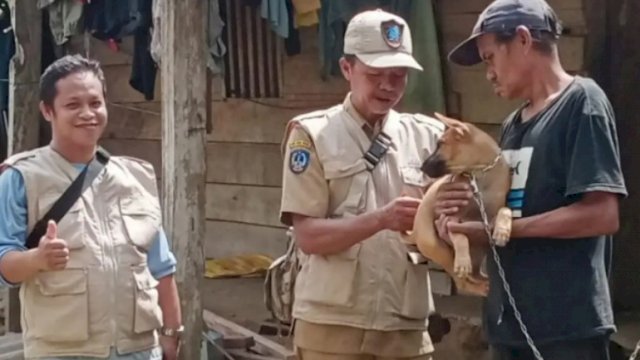 Petugas Dinas Pertanian Luwu Timur suntik vaksinasi rabies hewan peliharaan.