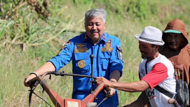 Bupati Pinrang Irwan Hamid, saat menjalankan mesin traktor Petani di Desa Patobong, Kecamatan Mattiro Sompe, Kamis (02/06/2022). (Istimewa)