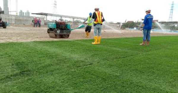 Pekerjaan Lanjutan Stadion Malili Bakal Gunakan Jenis Rumput Seperti JIS