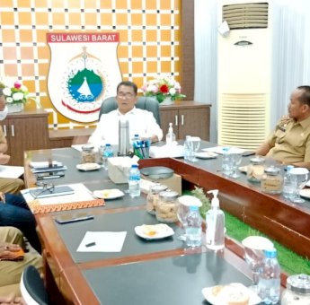 Jamin Sapi Kurban Jokowi Bebas PMK, Bakal Disembelih dan Dibagikan di Mamuju