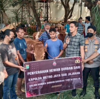 Polda Metro Jaya Salurkan Kurban 165 Sapi Dan 50 Kambing
