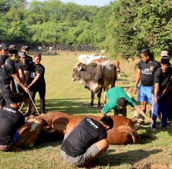 Polda Banten Sembelih 81 Hewan Qurban