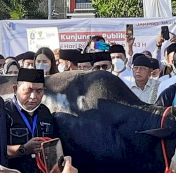 Gubernur Anies Baswedan Serahkan Sapi Seberat 1,2 Ton ke Panitia Kurban di JIS