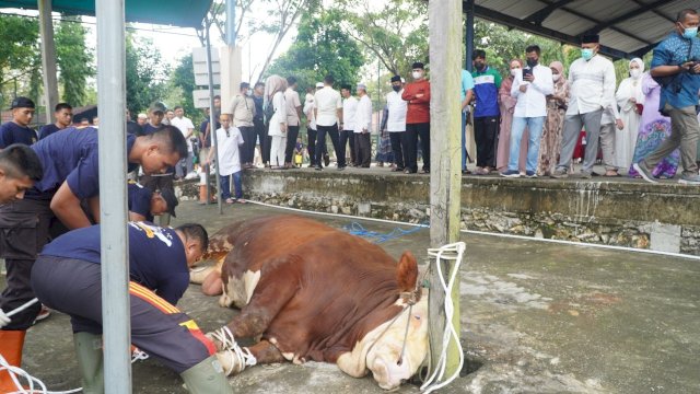 Proses Pemotongan Hewan Kurban Polda Kaltim.(Foto: Dok Humas Polda)