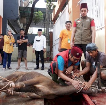 IKA SMAPAT Makassar Kurban 14 Ekor Sapi untuk Alumni, Guru Honorer, dan Masyarakat