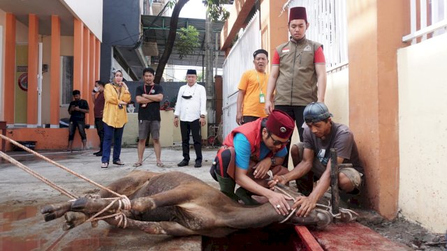 IKA Smapat Makassar kembali melaksanakan kurban dengan menyembelih 14 ekor sapi untuk dibagikan ke masyarakat. (Dok. IKA Smapat Makassar)