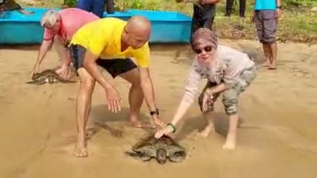 Kepala Kejaksaan Tinggi DKI Jakarta, Reda Manthovani, bersama isterinya saat melepas penyu. (Istimewa)