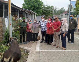 Antisipasi PMK, Pemkab Gowa Batasi Distribusi Ternak dari Luar Daerah