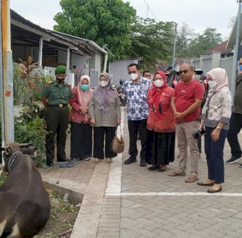 Antisipasi PMK, Pemkab Gowa Batasi Distribusi Ternak dari Luar Daerah