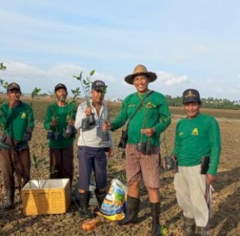 BKJM Lakukan Penanaman Mangrove Setelah Menerima Bibit dari PT Pertamina di Batam