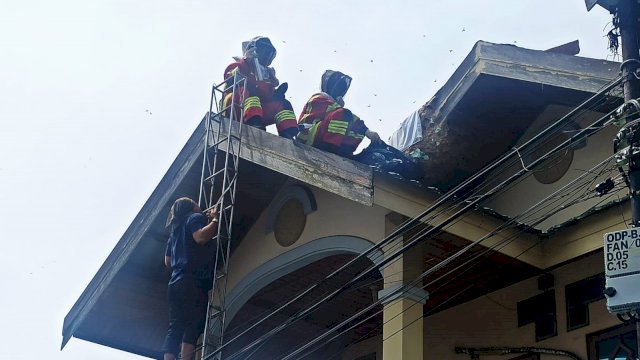 Petugas Damkar Kota Banjarmasin mengevakuasi sarang tawon vespa di Atap Rumah Warga. (Istimewa)